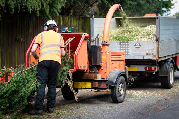 Watsessing, NJ Tree Care Services Company